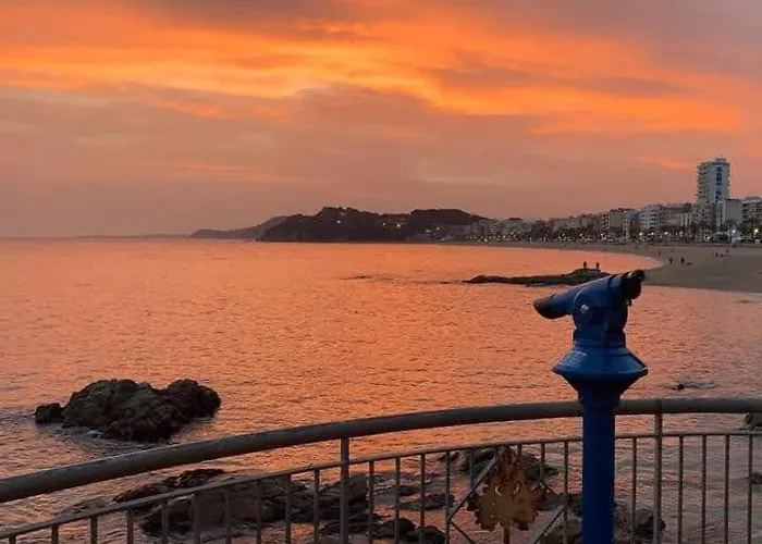 Kesito Family * يوريت دي مار